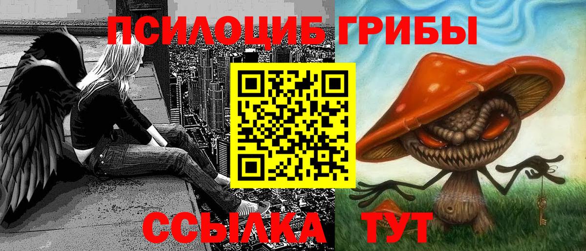 Псилоцибиновые грибы Psilocybine cubensis  Вход с VPN  Ефремов 